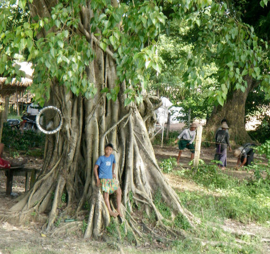 Burma Foundation